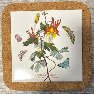 Vintage Portmeirion Botanic Garden Corked Backed Trivet Tile ~EUC